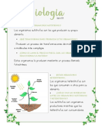 Biología Apunte