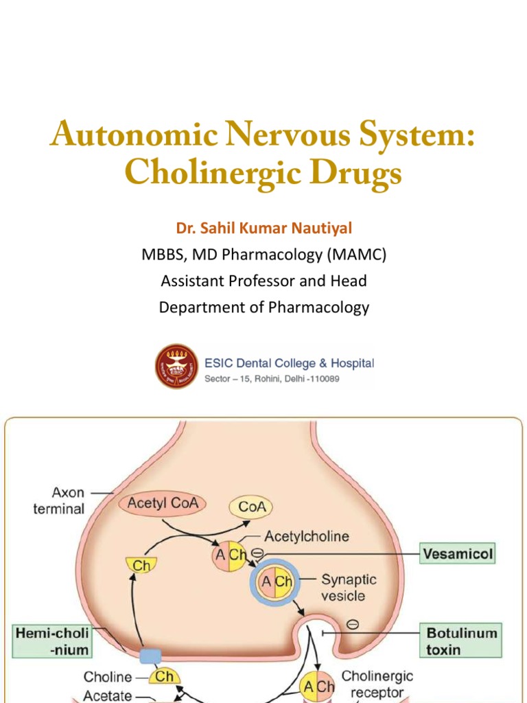 Cholinergic Drugs PDF Acetylcholine