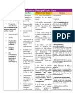 Características Principales Del Caso