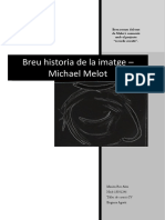 Resum Breu Historia de La Imatge-Melot