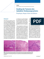Grading Der Tumoren Des Tubulären Verdauungssystems: Ösophagus, Magen, Kolon Und Rektum
