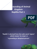 Understanding of Animal Kingdom Reptilia Part 1