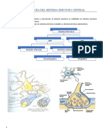 Farmacología Del Sistema Nervioso Central: Aspectos Generales: Introducción