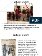 Cultural Studies Sociologie de La Jeunesse 2