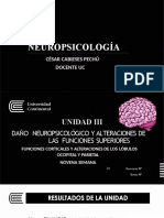 Ppts-Semana 9 - Lobulo Parietal y Occipital