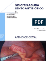 TERAPEUTICA QX. 02 APENDICITIS Y ATB.-convertido2