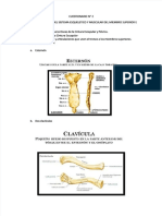 PDF-morfofisiologia Compress