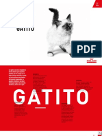 Guía Del Gatito Royal Canin