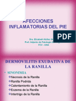 Afecciones Inflamatorias Del Pie