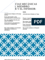 Diferencias Mecánicas Entre El Miembro Superior Y El Inferior