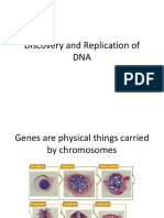 DNA and Genes: Discovery and Replication