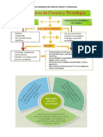 Lineamientos Generales Del Área