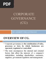 Corporate Governance (CG)