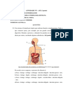 Sistema digestório e atividade sobre anatomia e fisiologia