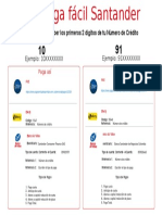 Instructivo de Pago - Consumo (91 y 10)