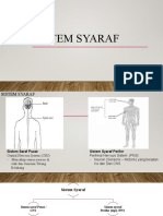 Sistem Saraf Otak dan Fungsinya