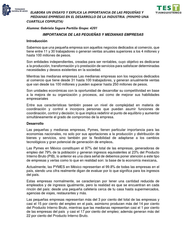 Importancia de Las Pequeñas y Medianas Empresas | PDF | Pequeñas y ...