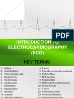 ECG Basics: An Introduction to Electrocardiography