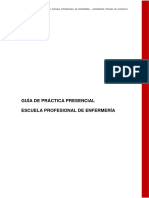 Guía de Práctica Presencial Escuela Profesional de Enfermería