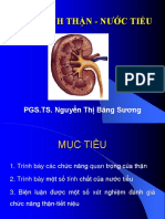 Hóa Sinh Thận - Nước Tiểu: PGS.TS. Nguyễn Thị Băng Sương