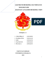 Biokimia Urin Dan Darah