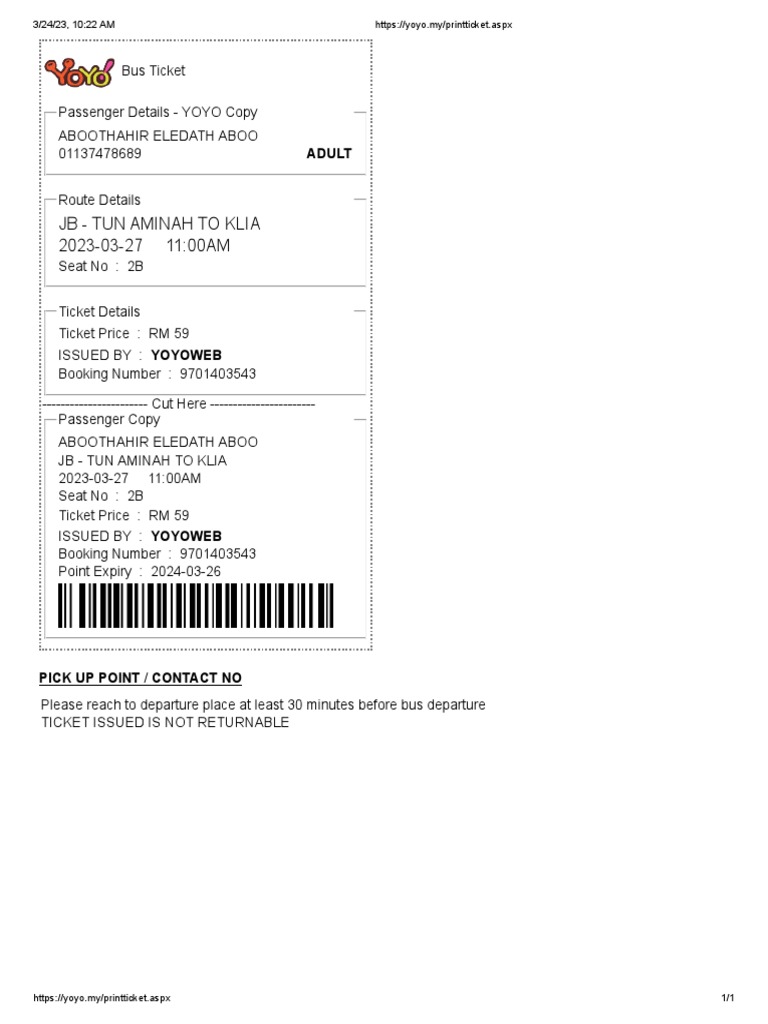 YoYo Ticket Template PDF