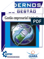 Gestão Empresarial Iniciação