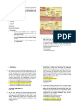 Latihan Soal Digestive