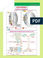 Biomagica Plant Physiology H