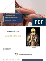 Anatomía Humana: Diplomado Virtual