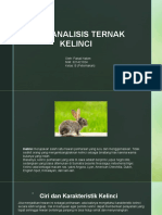 Menganalisis Ternak Kelinci: Oleh: Faisal Hakim NIM: 621421024 Kelas: B (Peternakan)