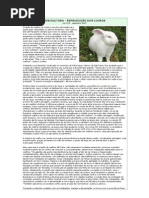 Criação de Animais em área urbana