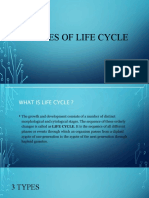 3 Types of Life Cycle