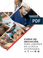 Curso de Iniciación para Laborar en Clínica Veterinaria