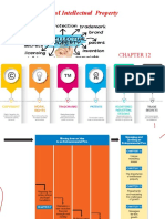Chapter 12 - The Importance of Intellectual Property