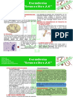 Diagnóstico parasitológico indirecto y molecular