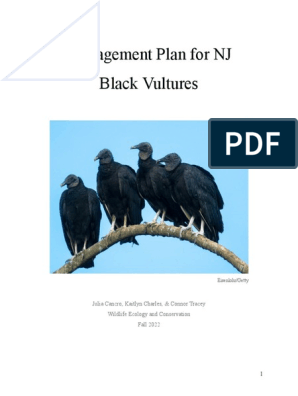 Nuisance Species: Black Vulture  Ohio Department of Natural Resources