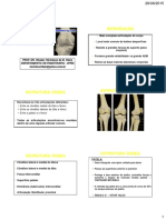CURSO 3 2015 CINESIOLOGIA DO JOELHO P e B