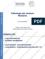 Pathologie Des Tendons Fibulaires: Clinique Victor Hugo, Paris Hôpital Raymond Poincaré, Garches