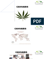 4 Cannabis