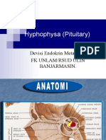 Hyphophysa (Pituitary) : Devisi Endokrin Metabolik FK Unlam/Rsud Ulin Banjarmasin