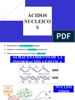 Ácidos Nucleico S