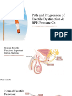 Path and Progression of Erectile Dysfunction & BPH/Prostate CX