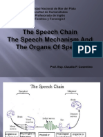 The Speech Chain The Speech Mechanism and The Organs or Speech