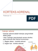 146_20221221061553_Korteks adrenal (REVISI)