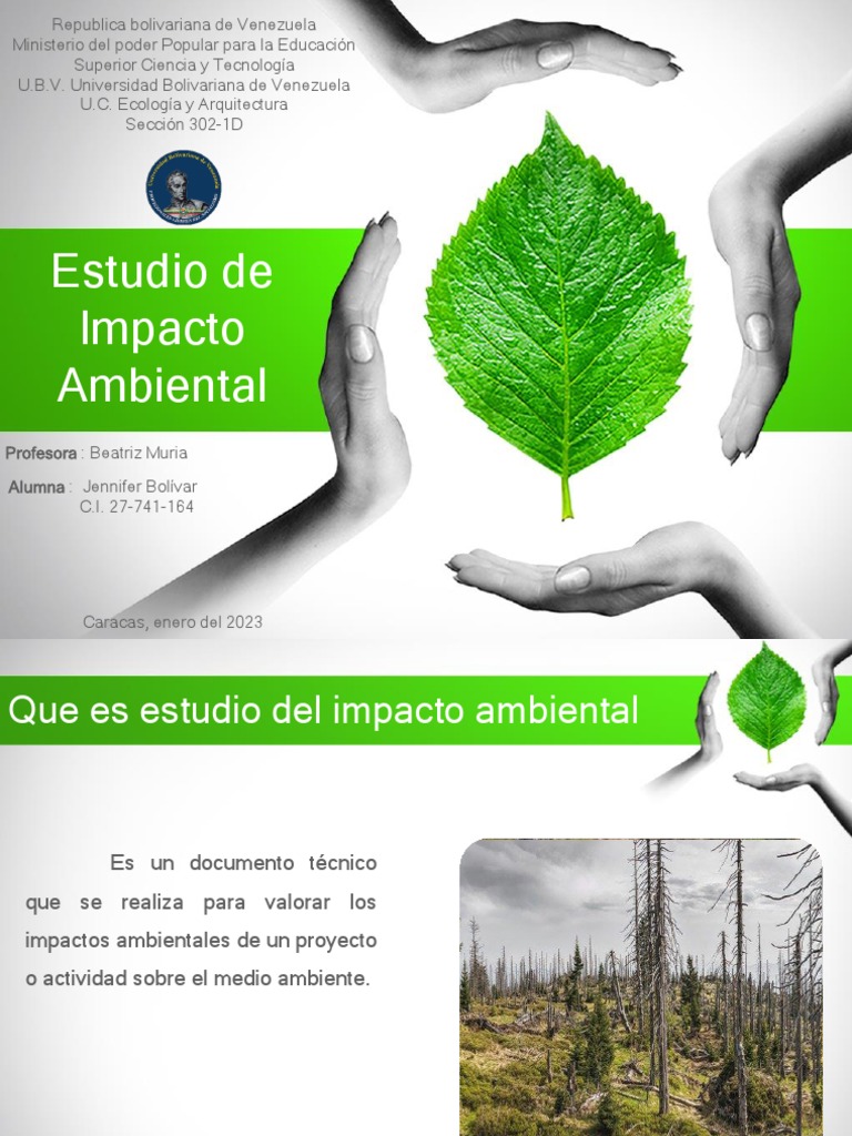 Estudio de Impacto Ambiental | PDF | Evaluación de impacto ambiental ...