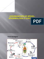 Leishmanioses No Brasil: Epidemiologia E Controle