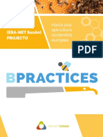 BPRACTICES-SPANISH