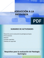 Introduccion A Patología