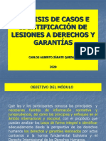 Análisis de Casos Lesiones A Derechos y Garantías